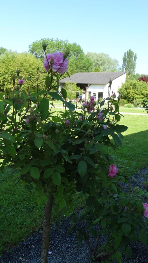 Moulin De Reigner Bed & Breakfast Anché Dış mekan fotoğraf